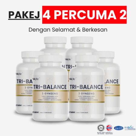 Pakej 4 Percuma 2
